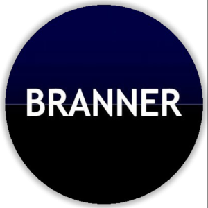 Picture of brannerchile.cl